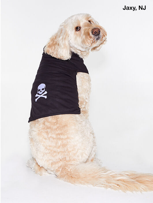 DOG SWEATER BLACK