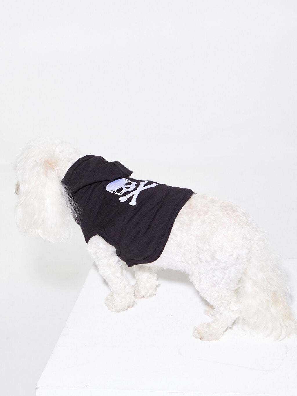 DOG SWEATER BLACK
