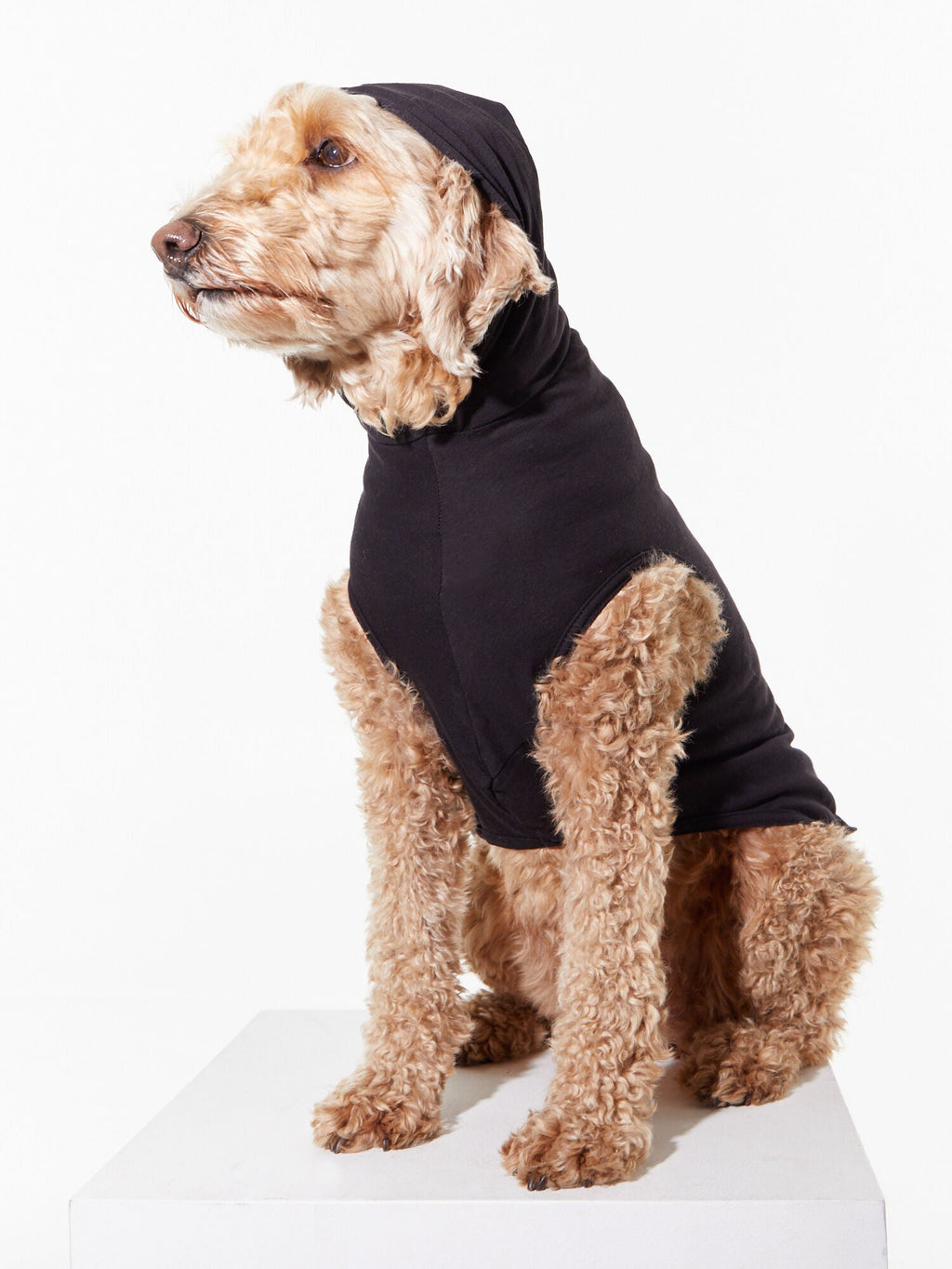 DOG SWEATER BLACK