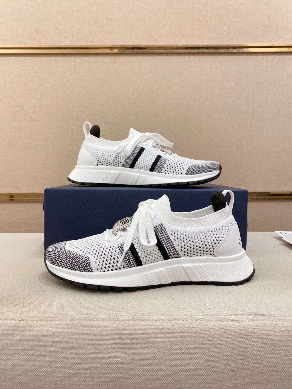 Dior B30 Mesh Sneakers